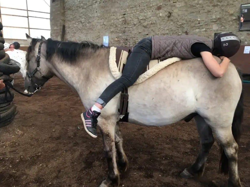 Interaction entre patient et cheval lors d’une séance d’équithérapie