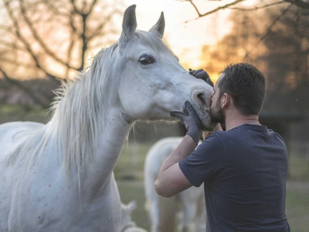 Moment de connexion émotionnelle entre l’humain et le cheval en thérapie
