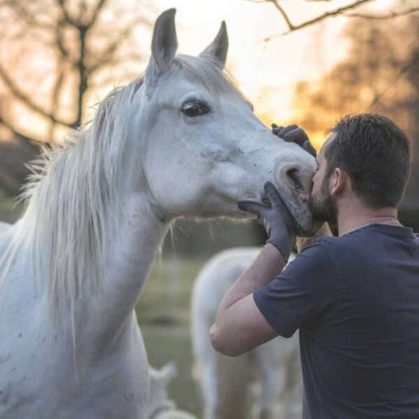 Moment de connexion émotionnelle entre l’humain et le cheval en thérapie