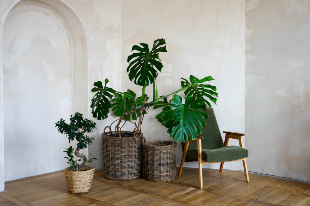 Salon Japandi organique aux tons naturels avec mobilier en bois clair et plantes vertes